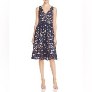 Eliza J Navy and Cream Floral Lace Dress